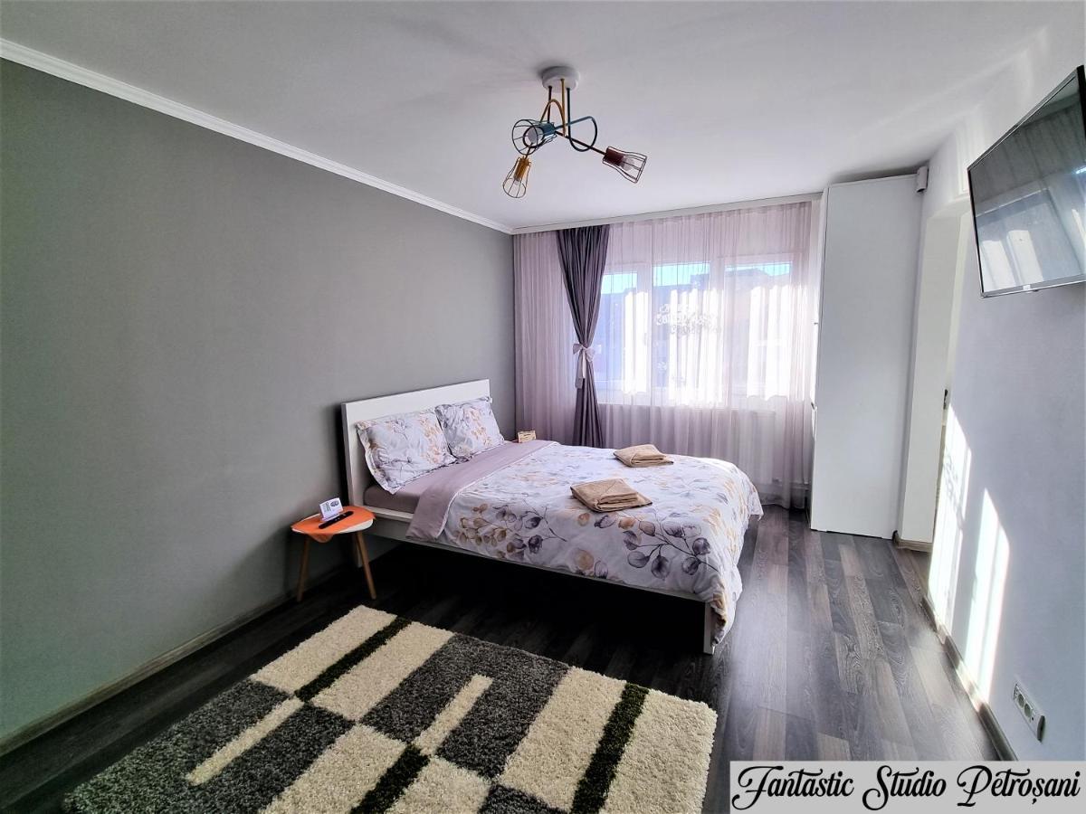 Appartamento ~Fantastic Studio Petroșani~ Esterno foto