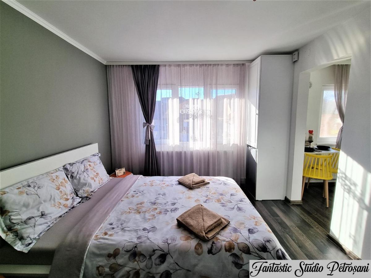 Appartamento ~Fantastic Studio Petroșani~ Esterno foto