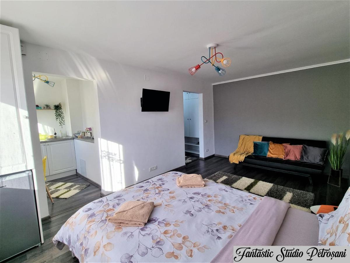 Appartamento ~Fantastic Studio Petroșani~ Esterno foto