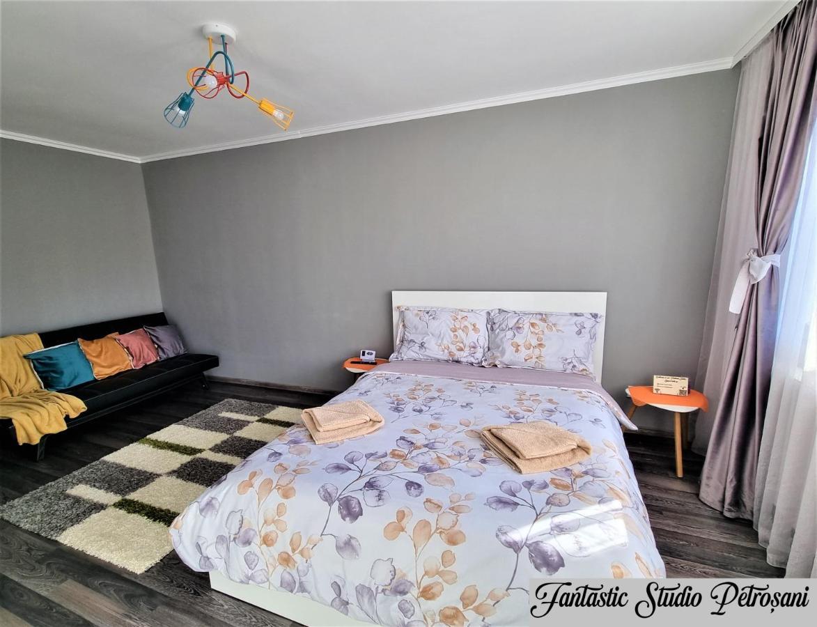 Appartamento ~Fantastic Studio Petroșani~ Esterno foto